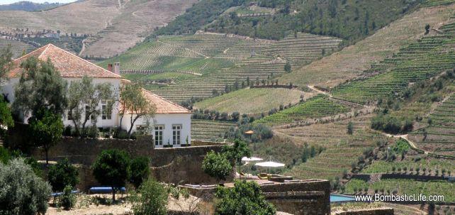 Quinta Romaneira - Douro River Valley, Portugal